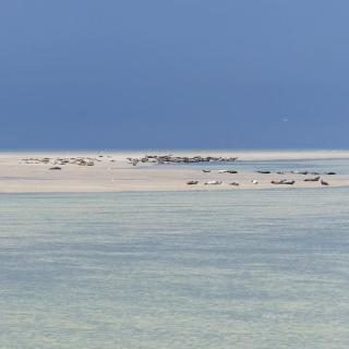 vue mer - Berck-sur-Mer - 8