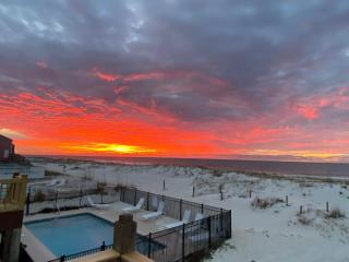 Blue Parrot - Gulf Shores - 5