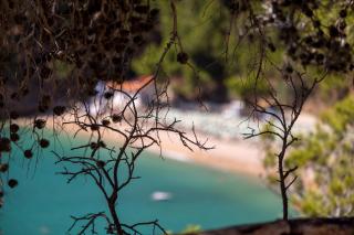 Hotel degli Ulivi - 2