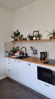 Kyiv Jungle apartment - Kiev - 2