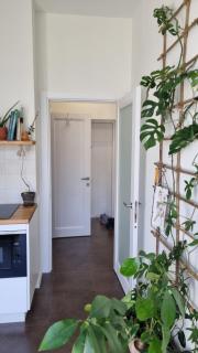 Kyiv Jungle apartment - Kiev - 1