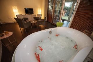 Hilltop Wellness Villa-big garden, sauna, hot tube - 9