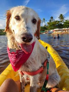 Casa no coração de Praia do Forte - 3