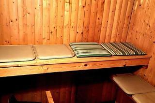 Palm View Luxury Botanical Themed apartment with sauna - 3