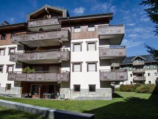 Appartement chic avec sauna et parking au centre de Chamonix - FR-1-343-190 - Chamonix-Mont-Blanc - 8