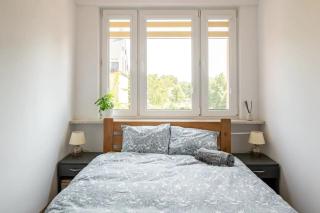 The Best Location in Cracow for City Break - Krakow - 6