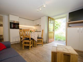 Charmant T3 rénové avec jardin, parking & wifi à Chamonix - FR-1-343-206 - Chamonix - 1