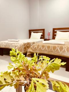 KAMAL HOTEL APARTMENTS - Mansoura - 0