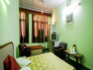Hotel Woodland Deluxe - New Delhi - 7