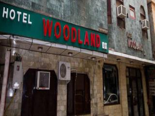 Hotel Woodland Deluxe - New Delhi - 0