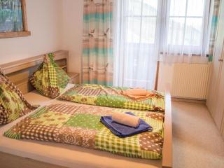 Apartment in Mittersill near KitzSki Lift - 6