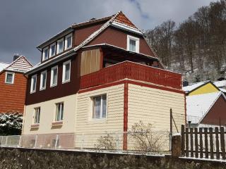 Haus am Fluss mit wunderschöner Dachterrasse mit Flussblick ,Garten und Grill - Zorge - 9