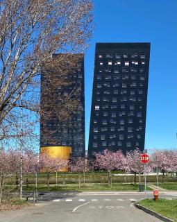 FIERA MILANO-RHO APARTMENT - Pero - 2