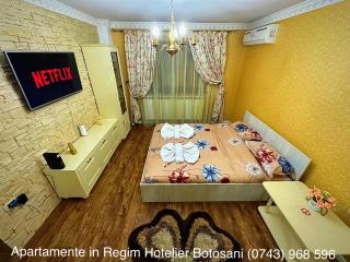 Apartament De Lux zona 0 Botosani 2 camere - Botoşani - 9