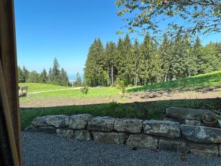 Kreiers Alp - Hohenems - 8