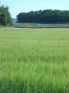 Paradiset Holiday House - 1