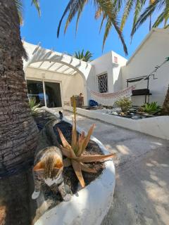 Palm Point - Costa Calma - 7