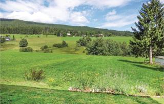 Nice Apartment In Lenzkirch-Saig - 1