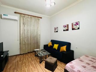 Nice Studio Apartment by Metro - Erevan - 4