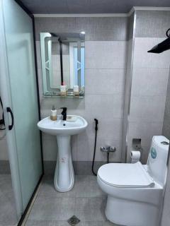 Turquoise Apartment - Baku - 5