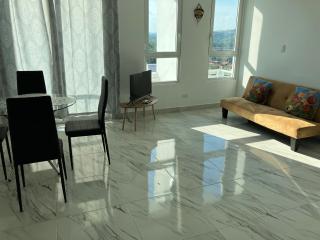 Lovely flat with pool in city center - Città di Panama - 3