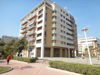 Paseo Marítimo Antonio Banderas - Málaga - 7