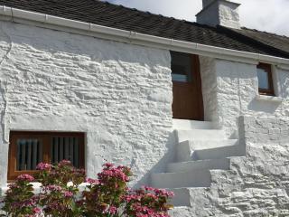 Little Barn Cottage - Newport - 9