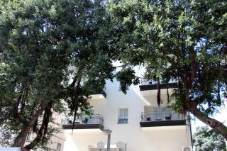 Dizengoff Avenue Boutique Hotel - Tel Aviv - 3