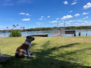 The Jetty House Jervis Bay - Myola - 8
