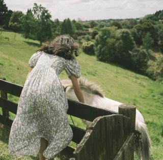 Thistle and Pine Cottage Farmstay - Tauranga - 6