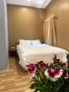 Pleiku Homestay - Pleiku - 2