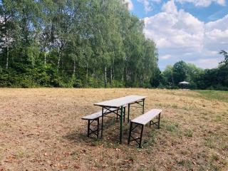 Schwedischer Shelter unter Buchen - 9