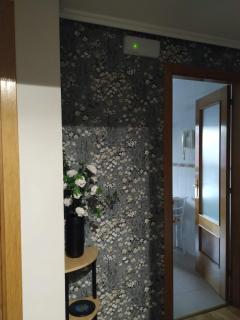 Apartamento en OVIEDO,WIFI - Oviedo - 8