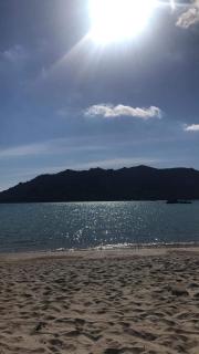 Appartement proche des plus belles plages - Porto-Vecchio - 6
