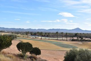 Sonne - Golf - 4Pers - Komfort - Apartments - 3