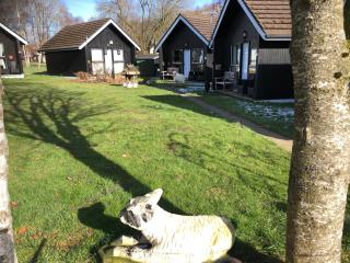 Kilcoy Chalets - 3