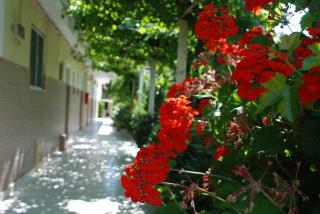 Manao Summer House - Tsilivi - 9