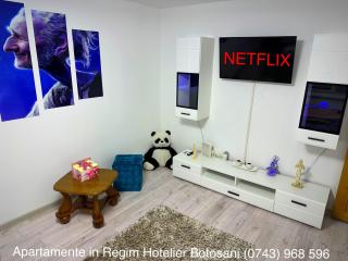 Apartament Uvertura Mall/Lidl cu parcare gratuita - Botoşani - 6