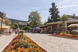 Waldtwin 2 Titisee (W12) + Hochschwarzwald Card - Titisee-Neustadt - 5