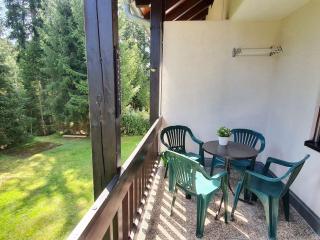 Waldtwin 2 Titisee - Balkon mit Naturblick - Seenähe 5 Minuten - 1