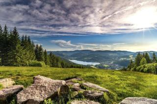 Waldblick Titisee (W2) + Hochschwarzwald Card - Titisee-Neustadt - 2