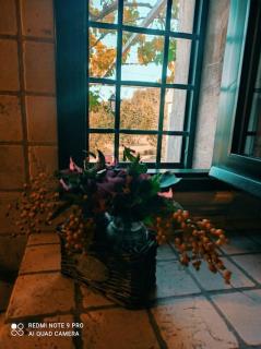 Villa La Zagara - Fasano - 2