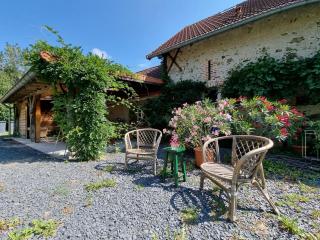 Spacious luxury farmhouse - Chalmoux - 0