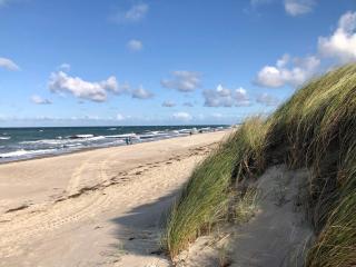 Am Deich Strandhaus EG - Wustrow - 2