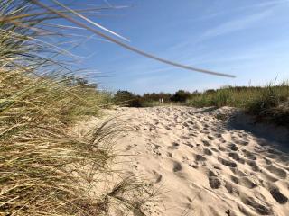 Am Deich Strandhaus EG - Wustrow - 3