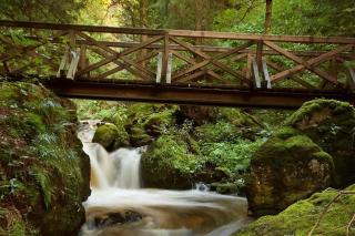 Waldloft Titisee (W19) + Hochschwarzwald Card - Titisee-Neustadt - 1