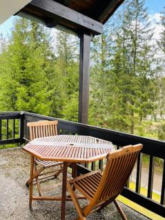 Waldloft Titisee (W19) + Hochschwarzwald Card - Titisee-Neustadt - 3