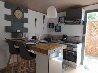 Maison de vacances, découvrir le sud de la Réunion - Petite Île - 8