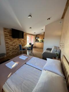 Apartament Vanessa 2 u podnóża gór, nad jeziorem Czorsztyńskim - 7