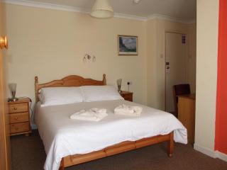The Purple Tree Guest House - Torquay - 9